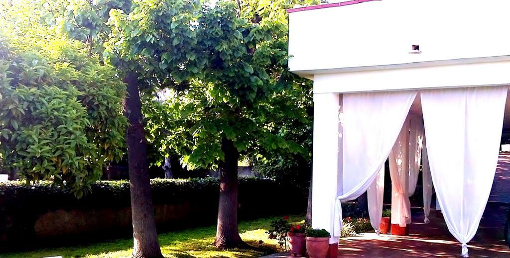 Bed And Breakfast Aloisio San Gregorio di Catania Exterior photo